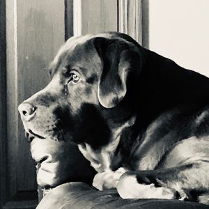 Meet your Posher, Thomas